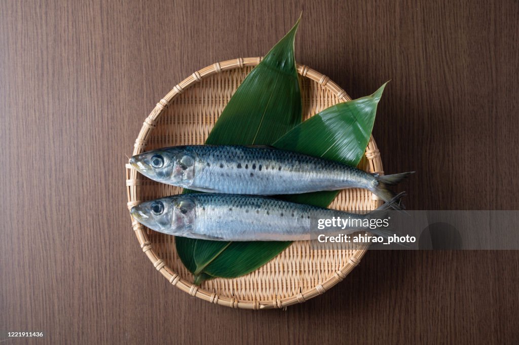 Fresh raw sardine on japanese bamboo leef