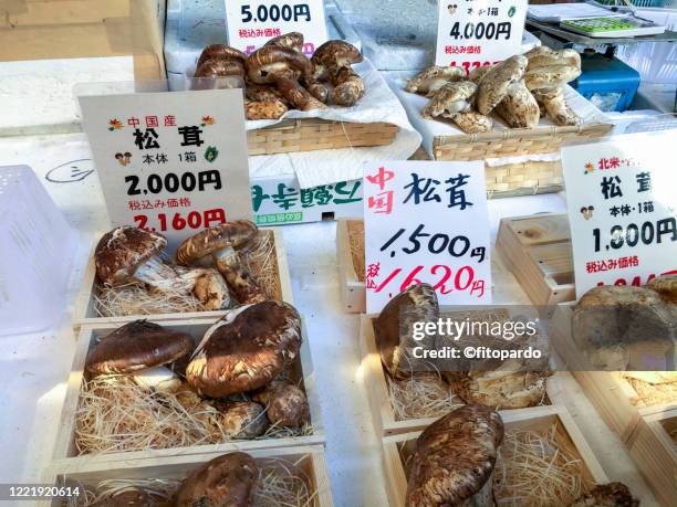 Matsutake Mushrooms At Tsukiji Market In Tokyo High-Res Stock