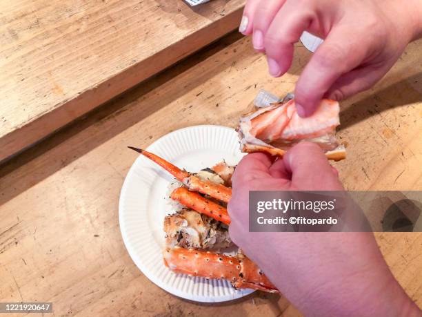 hands opening a king crab and holding the meat - alaskan king crab foto e immagini stock