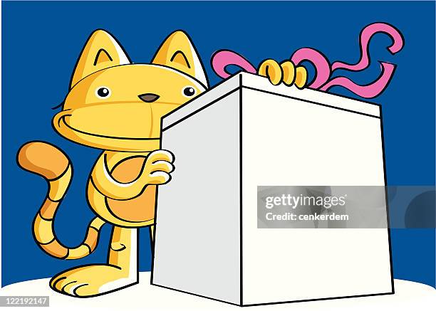 the cat show us product - cat in box stock illustrations