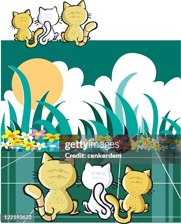 Three cats Three cats