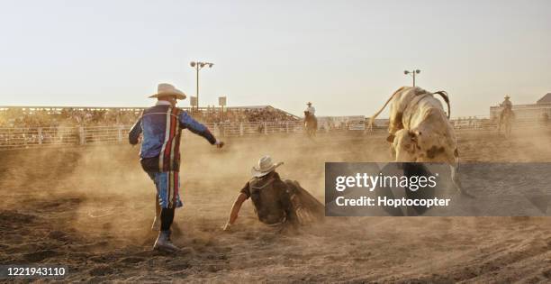 a bullrider competing in a bull riding event after being thrown from a bull's back while the rodeo clown distracts the bull in a stadium full of people at sunset - bull stock pictures, royalty-free photos & images