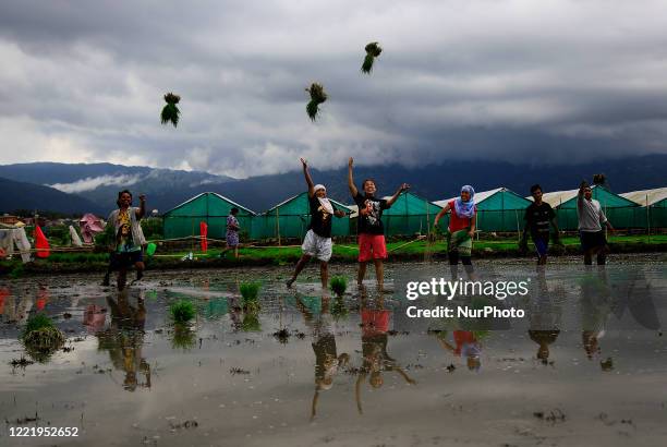 Throwing Rice Photos and Premium High Res Pictures - Getty Images