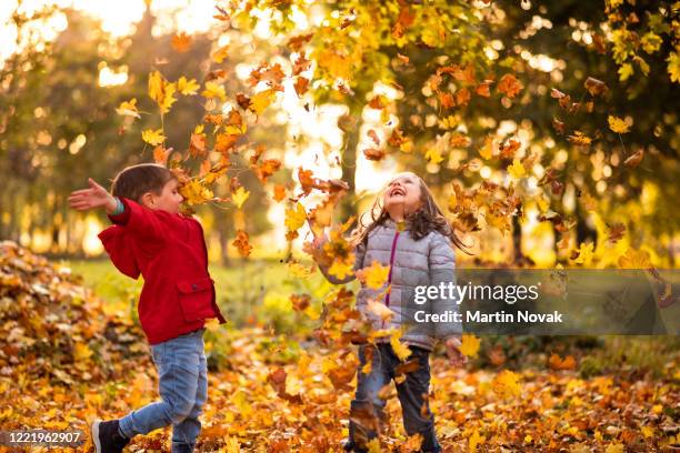 kids having fun in park, throwing up leaves. - fall park stock-fotos und bilder
