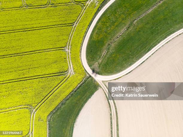 Multiple Pathways Nature Multiple Pathways Photos and Premium High Res Pictures - Getty Images