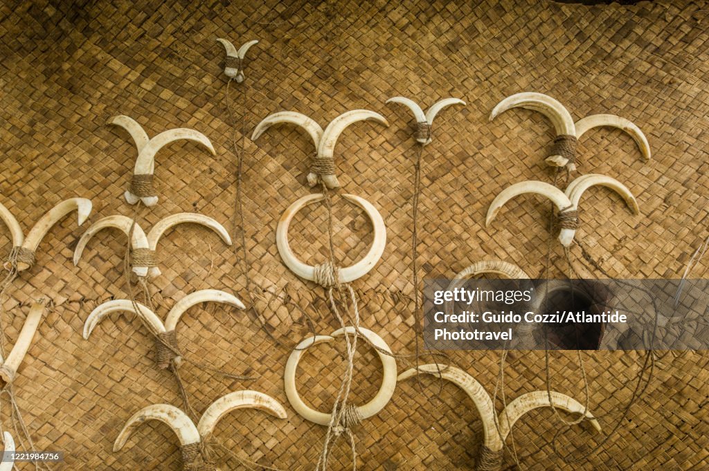 Stray fangs for sale at the local market, Yakel village, Tanna Island, Vanuatu