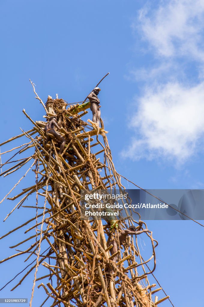 Naghol Ritual Nagol Ceremony Preparation Of The Tower For The Ritual Jump High-Res ...