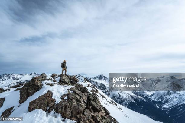 traveler on the top of a mountain - guy on top of mountain stock pictures, royalty-free photos & images