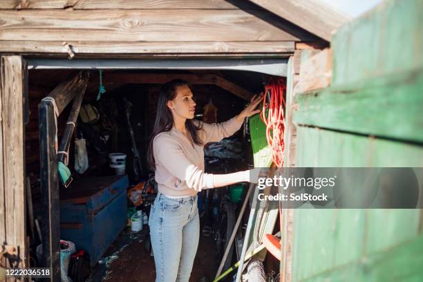 grabbing work tools - shed stock pictures, royalty-free photos & images