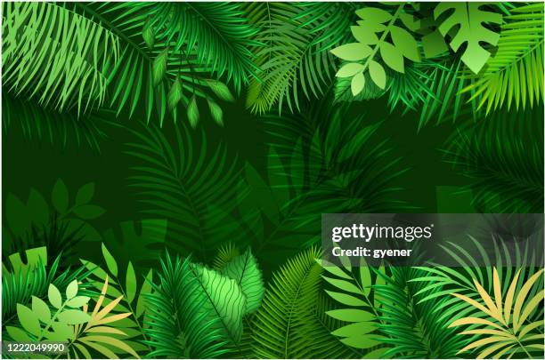 4 411点のジャングルイラスト素材 Getty Images 4 411点のジャングルイラスト素材 Getty Images