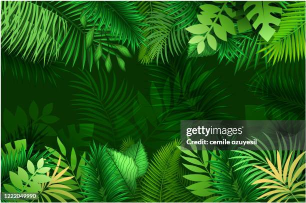 new tropical holiday banner - forest background stock illustrations