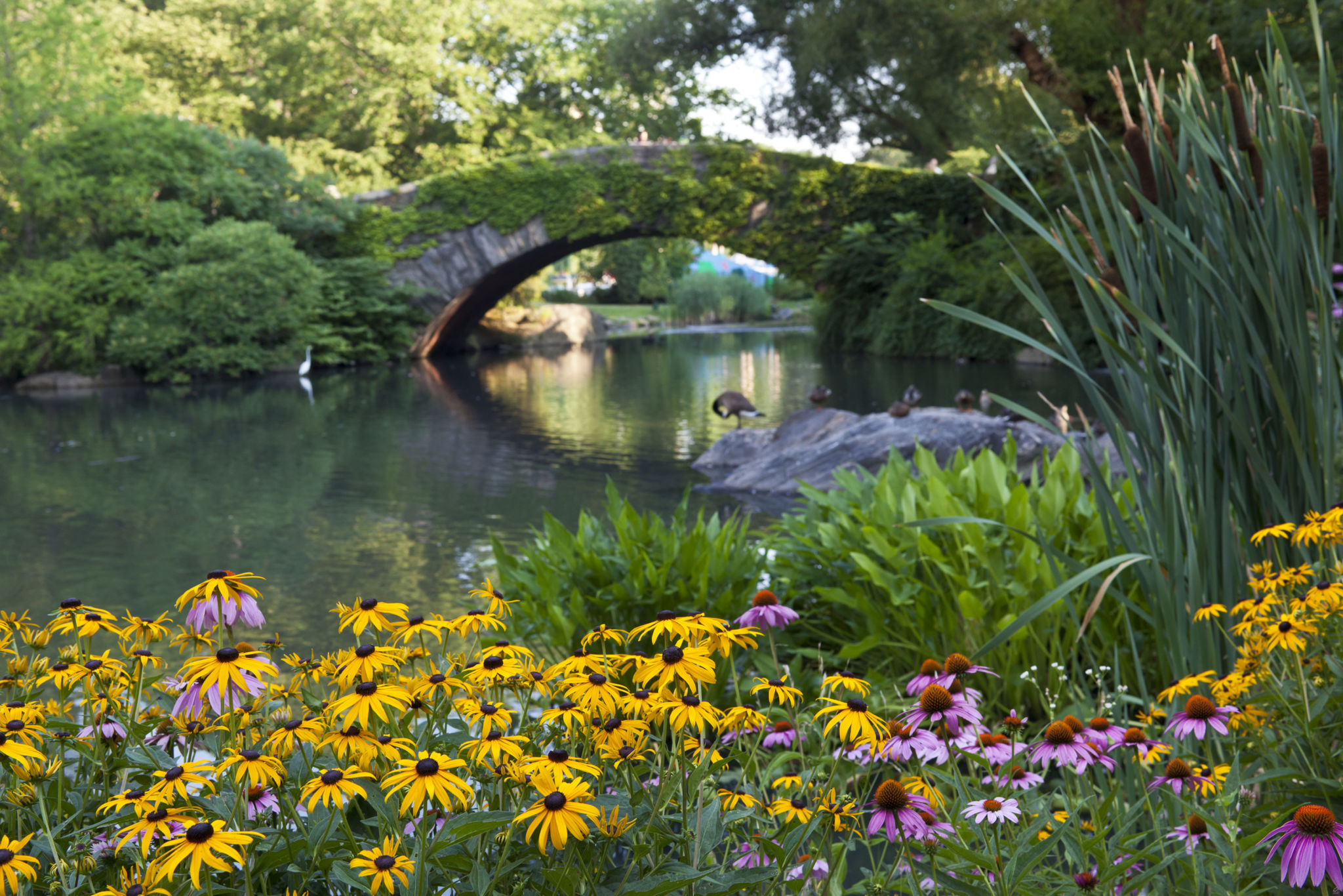 central park seasons