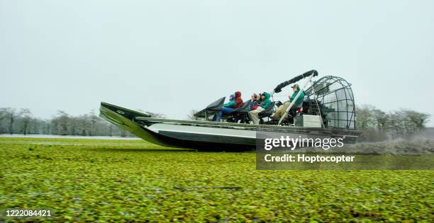 ein luftboot rast durch schwimmende salvinia (fern) im atchafalaya river basin swamp im südlichen louisiana unter einem bedeckten himmel - lafayette louisiana stock-fotos und bilder