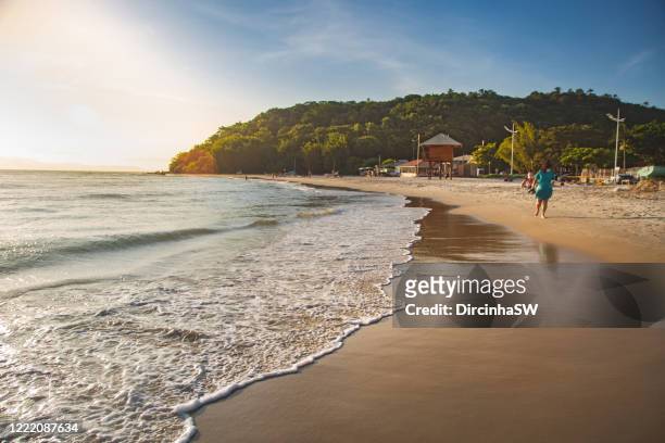 ponta das canas beach, florianopolis, brazil. - florianopolis foto e immagini stock