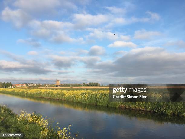 windmill - volendam photos et images de collection