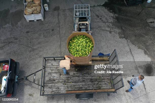 In this aerial photo from a drone, Omar Hernandez prepares to discard a container of cucumbers onto a trailer at the Long and Scott Farms on April...