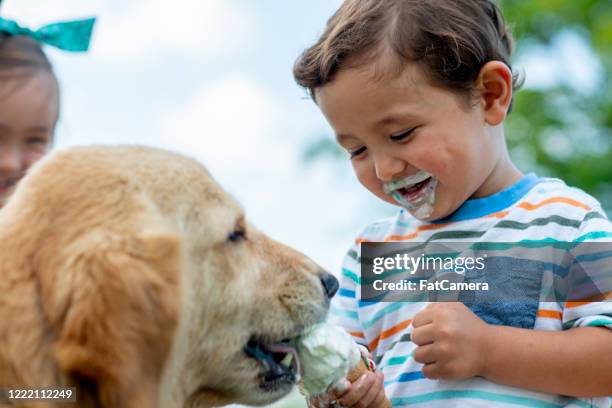 cute kids eating ice cream - dog eating a girl out stock pictures, royalty-free photos & images
