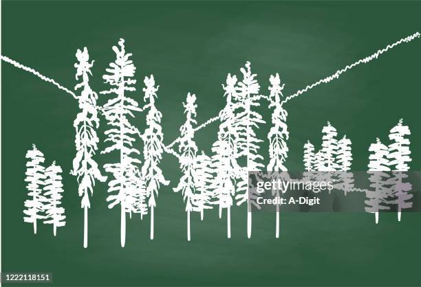 alpine spruce chalkboard - spruce stock illustrations