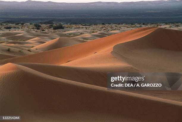 Morocco - Sahara Desert - Merzouga dunes at dawn.