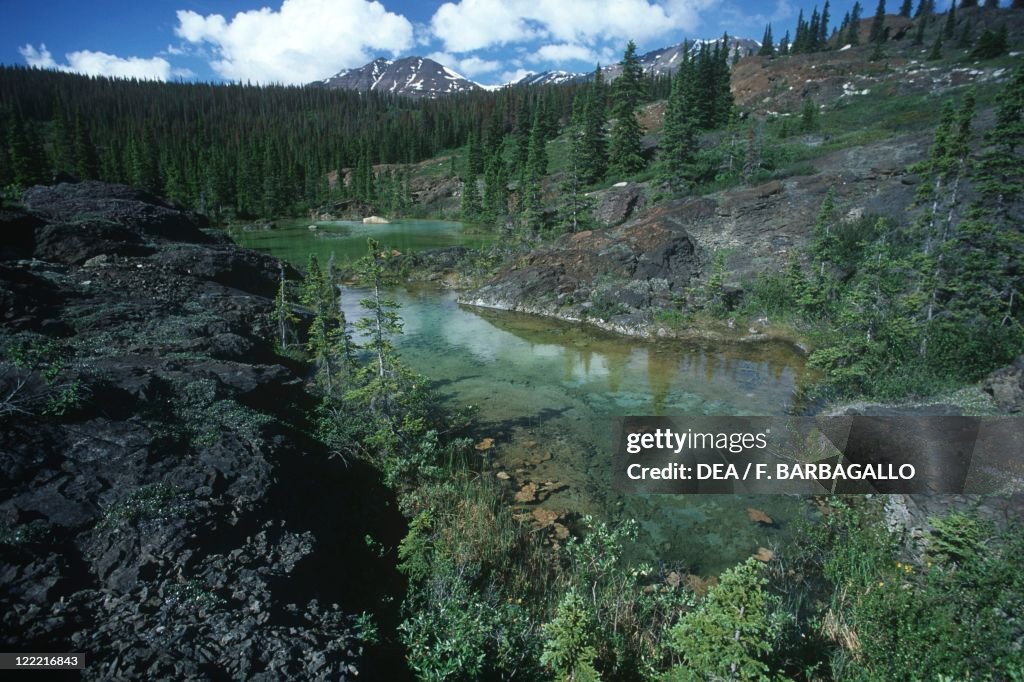 Canada, Yukon, Alsek River, pools of glacial origin
