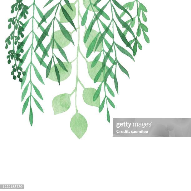 stockillustraties, clipart, cartoons en iconen met aquarel opknoping planten achtergrond - kamerplant