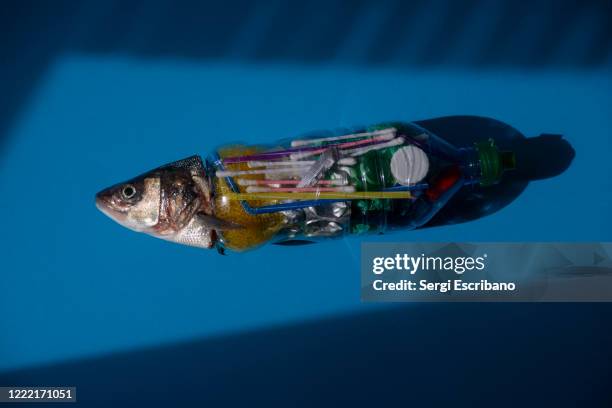 Discard Fish Discard Fish Photos and Premium High Res Pictures - Getty Images