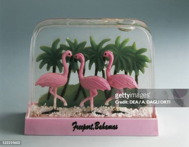 Collecting: Snowglobes - Bahamas - Freeport Souvenir - Pink Flamingos.