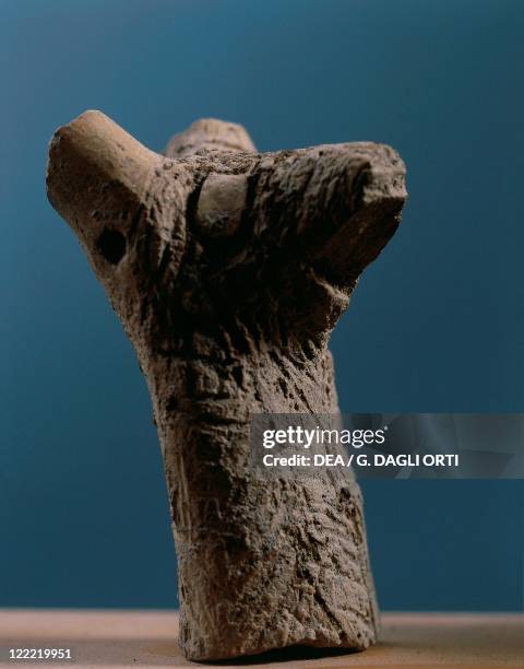Prehistory, Italy, Neolithic. Stentinello culture. Head of a wolf, or dog, from Stentinello necropolis, Sicily region.