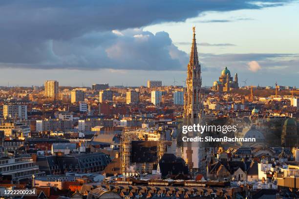 cityscape with town hall tower at sunset, brussels, belgium - brüssel skyline stock-fotos und bilder