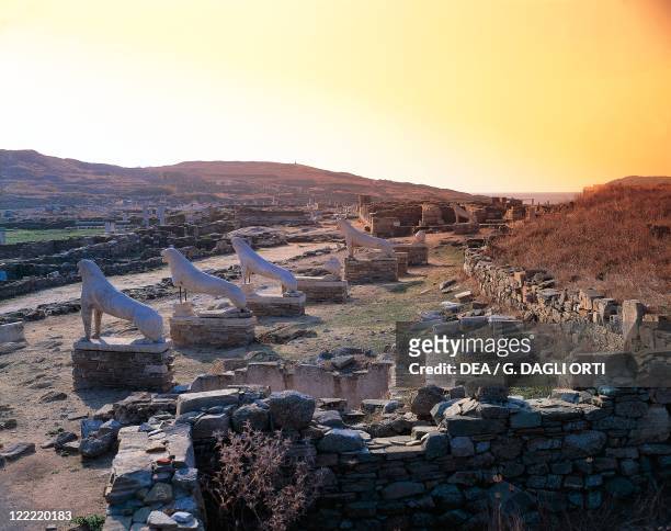 Greece - Cyclades Islands - Delos Island . Terrace of the Lions which takes its name from the five marble lion statues of Naxos, 7th century b.C.