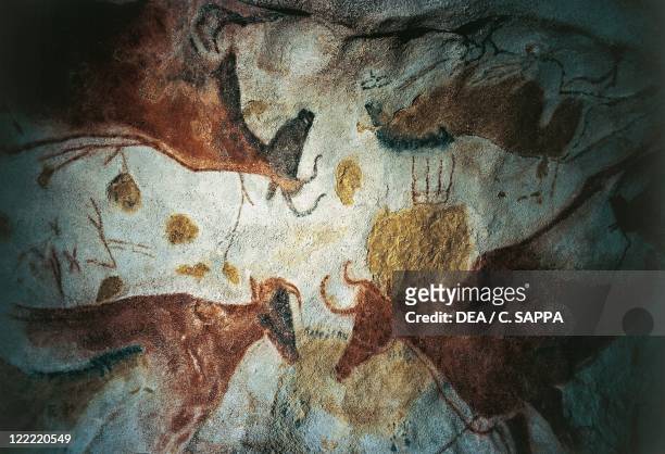 France - Aquitaine - Decorated Caves of the Vezere Valley . Lascaux Cave, upper Paleolithic cave painting.