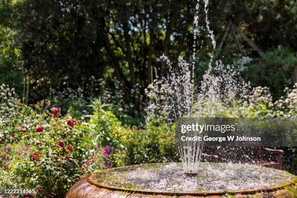 fountain of summer - fountain stock pictures, royalty-free photos & images