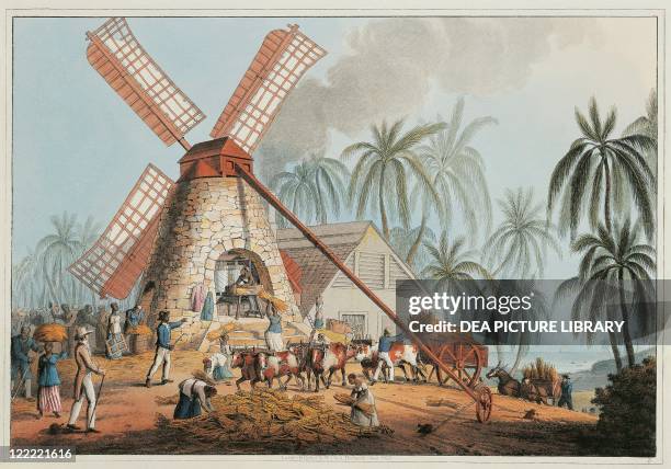 Antilles islands, 19th century. Slaves at work in a mill for the extraction of cane sugar.