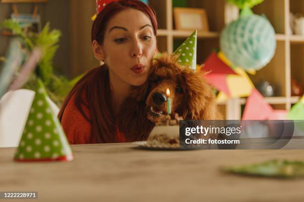 owner blowing her dog's birthday candle while celebrating his first birthday - dog birthday stock pictures, royalty-free photos & images