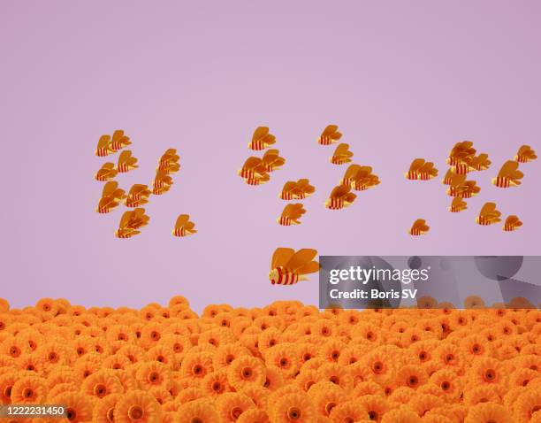jolly bees - floating hearts stock pictures, royalty-free photos & images