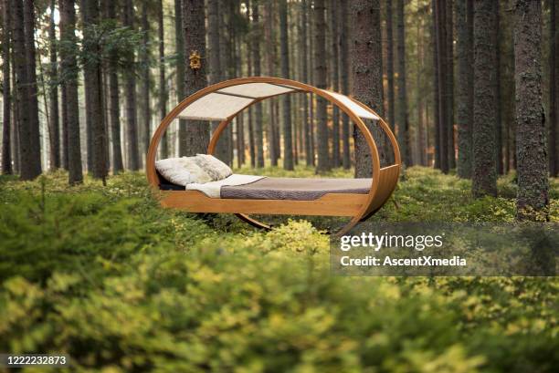 cama circular se encuentra en medio del bosque otoñal - cama lujo fotografías e imágenes de stock