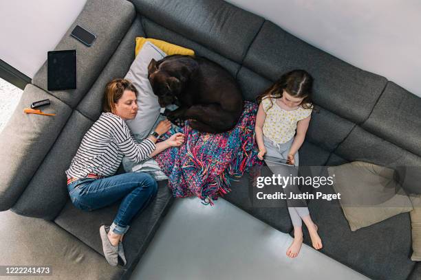 overhead view of woman, her daughter and pet dog on the sofa - girl on couch with dog foto e immagini stock