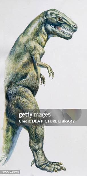 Palaeozoology - Cretaceous period - Dinosaurs - Tyrannosaurus rex - Illustration.