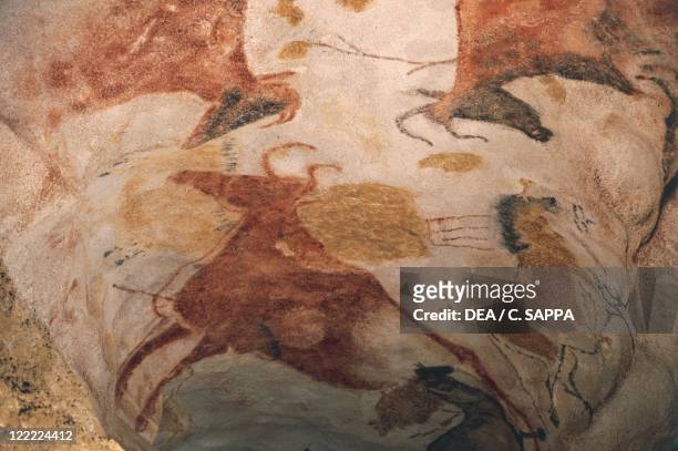 France - Aquitaine - Decorated Caves of the Vezere Valley . Lascaux Cave, restoration intervention on upper Paleolithic cave painting.