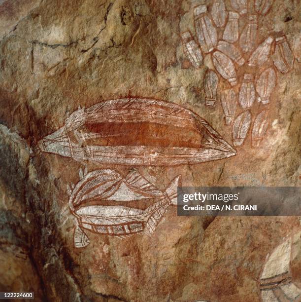 Nt Rocks 72 Kakadu Rock Paintings Northern Territory Australia Stock Photos ...