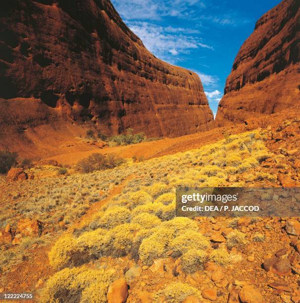 Australia, Northern Territory, Mount Olga in Uluru-Kata Tjuta National Park.