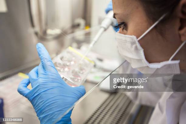 experimento científico - infertilidad fotografías e imágenes de stock