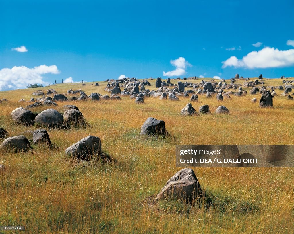 Viking burial ground of Lindholm Hoje