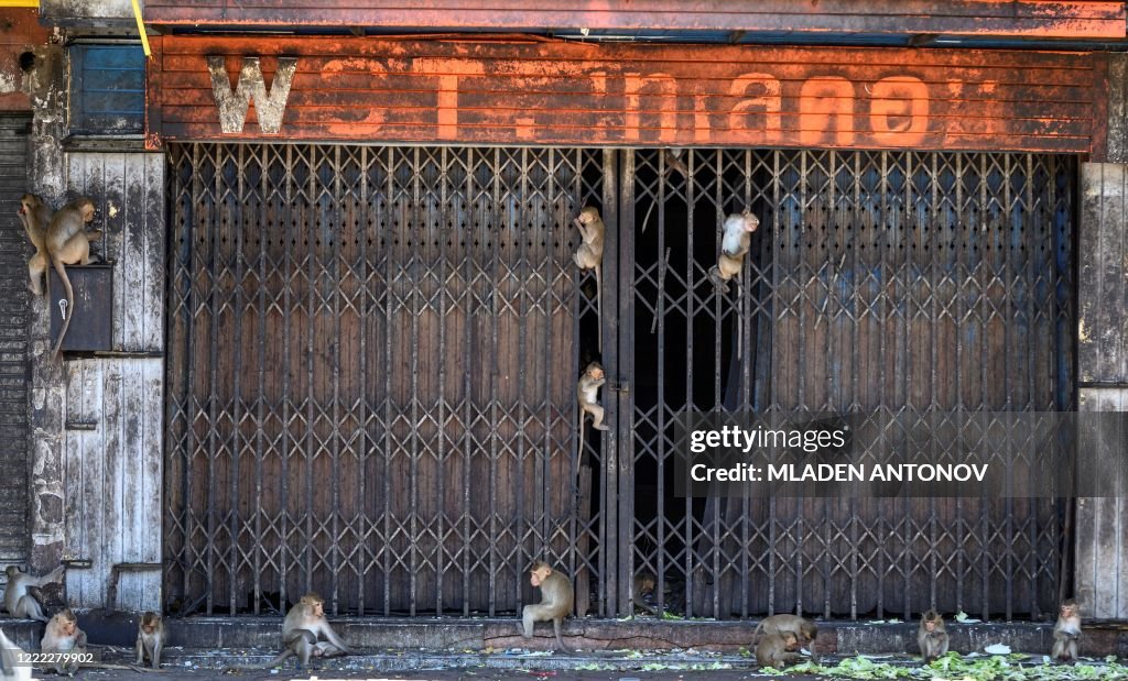 TOPSHOT-THAILAND-TOURISM-ANIMAL-HEALTH