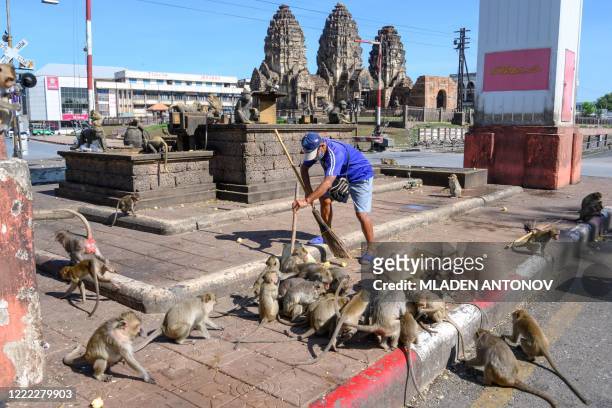 This photograph taken on June 20, 2020 shows a man cleaning a roundabout, one of the main gathering points of the longtail macaques in the town of...