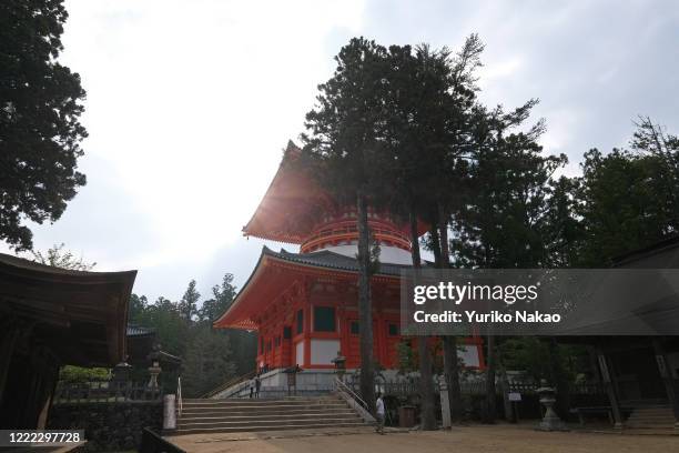 Konpon Daito pagoda stands in Danjo Garan, an ancient holy temple complex, on June 10, 2019 in Koya, Wakayama Prefecture, Japan. Koya-san or Mount...