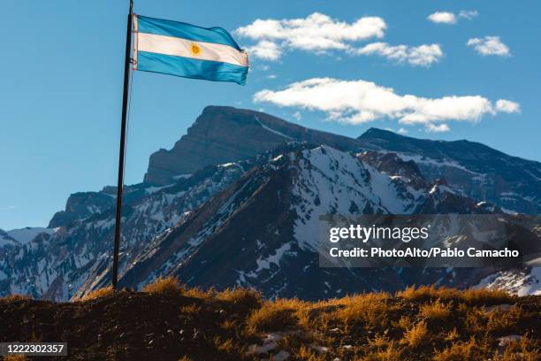 view of flag with mountains in background - drapeau argentin photos et images de collection