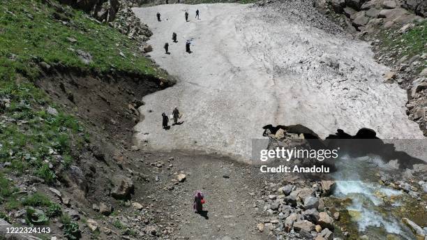 Drone photo shows an aerial view of Milkmaid women on their way to reach the villages for milking as Van metropolitan municipality staff conducts...