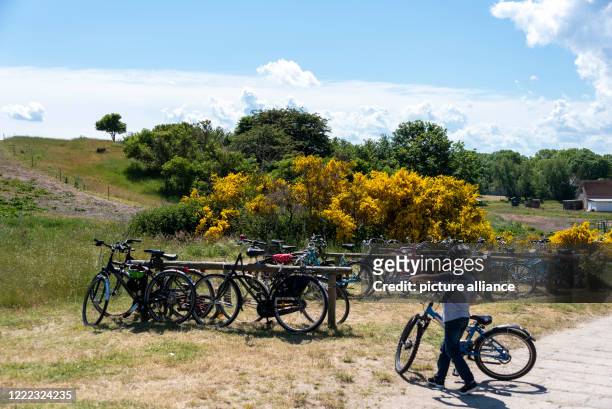 June 2020, Mecklenburg-Western Pomerania, Hiddensee: A boy is about to park his bike. An impressive natural spectacle is currently taking place on...