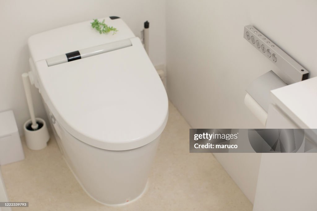 White clean toilet in washing closet